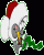 /album/vanoce/vanoce-001-gif/